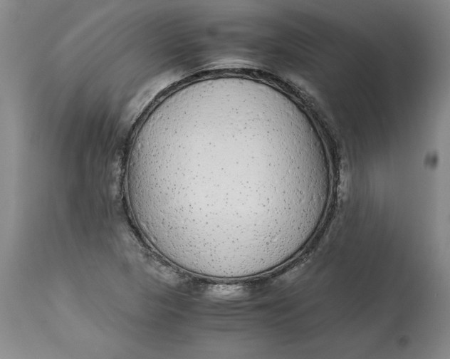 X0000113141313200909251254