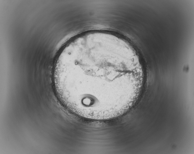 X0000113141314200909251254