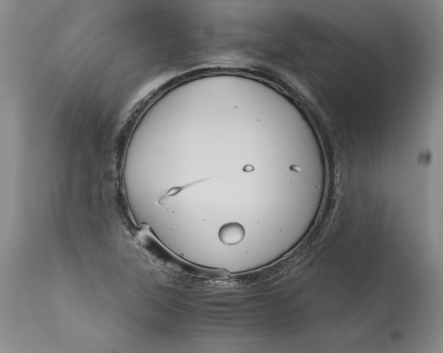 X0000113141315200909251254