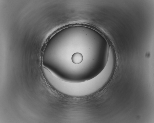 X0000113141316200909251254