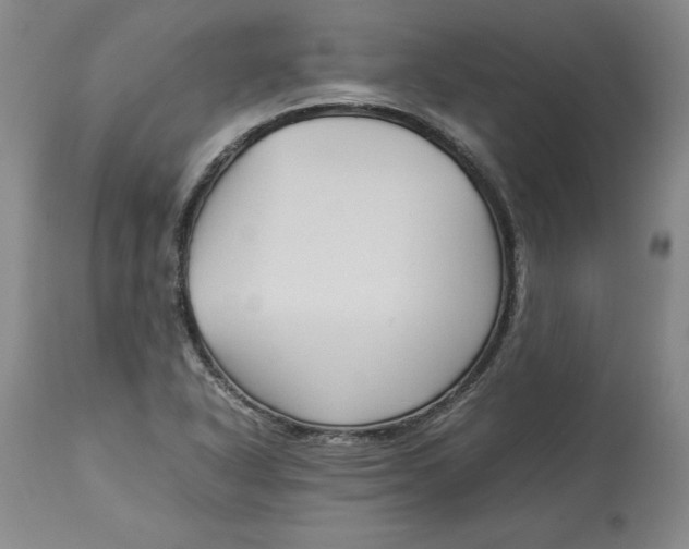 X0000113141318200909251254