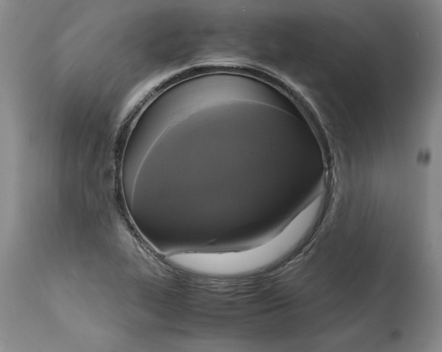 X0000113141319200909251254