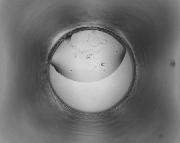 X0000113141320200909251254