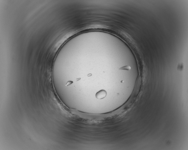 X0000113141321200909251254