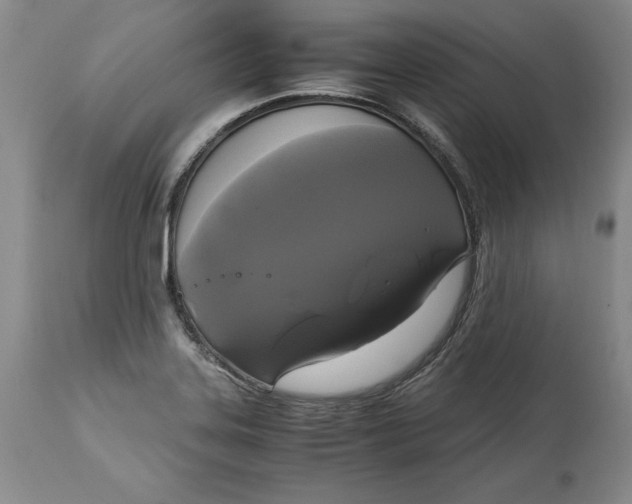 X0000113141323200909251254