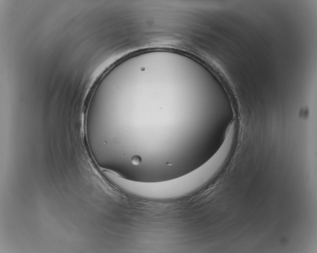 X0000113141324200909251254