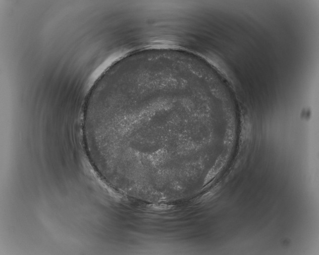 X0000113141325200909251254