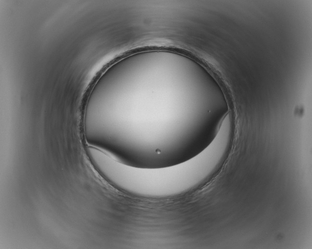 X0000113141326200909251254