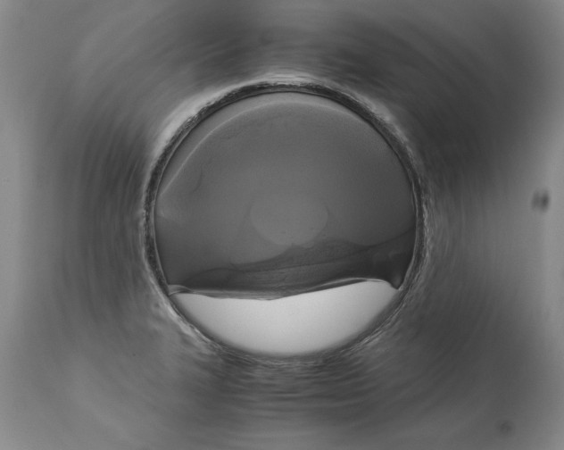 X0000113141327200909251254