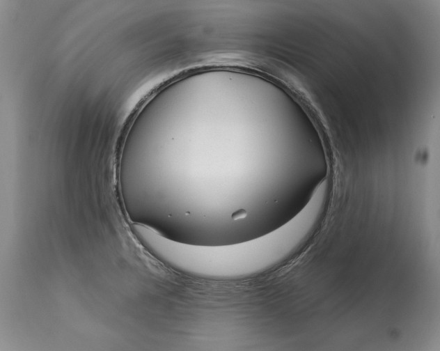 X0000113141328200909251254