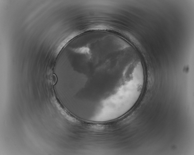 X0000113141329200909251254