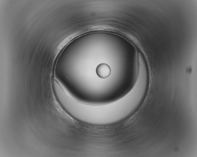 X0000113141330200909251254