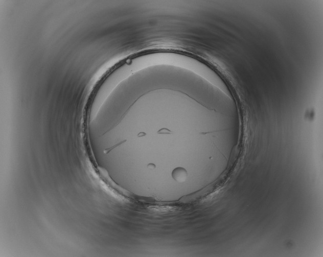 X0000113141331200909251254