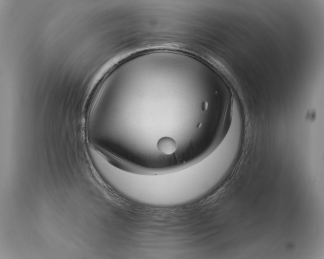 X0000113141332200909251254