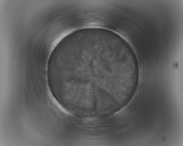 X0000113141333200909251254