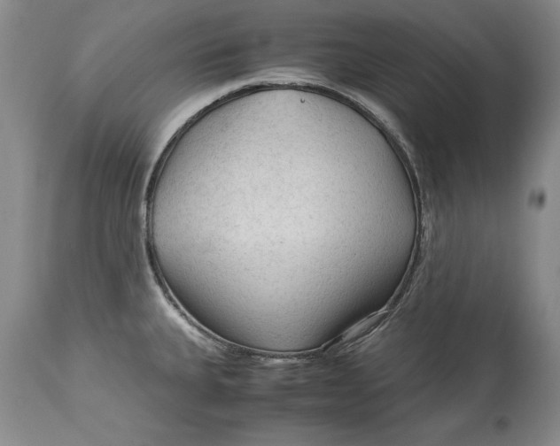 X0000113141335200909251254