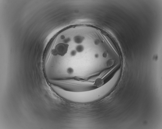 X0000113141336200909251254