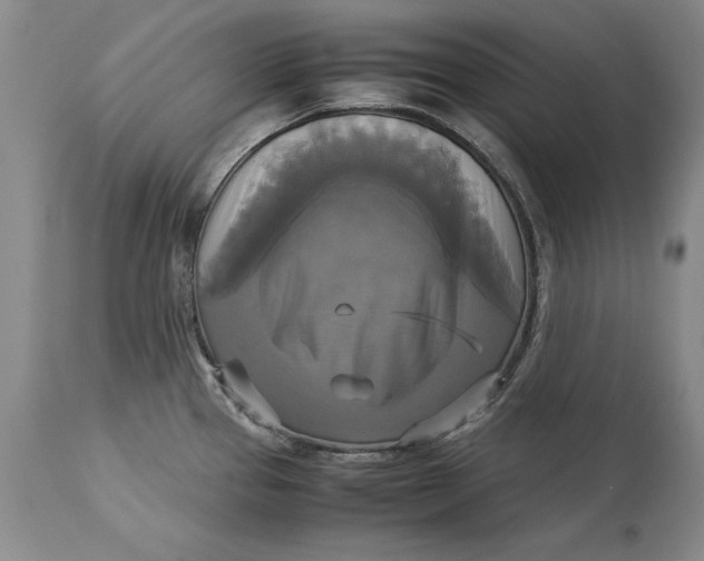 X0000113141337200909251254