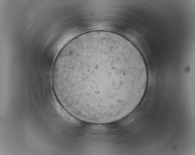 X0000113141338200909251255