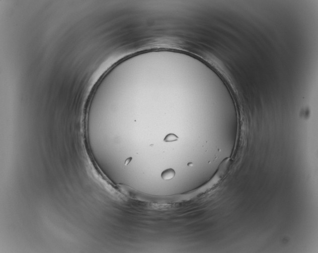 X0000113141339200909251255