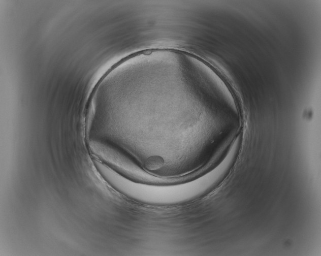 X0000113141340200909251255