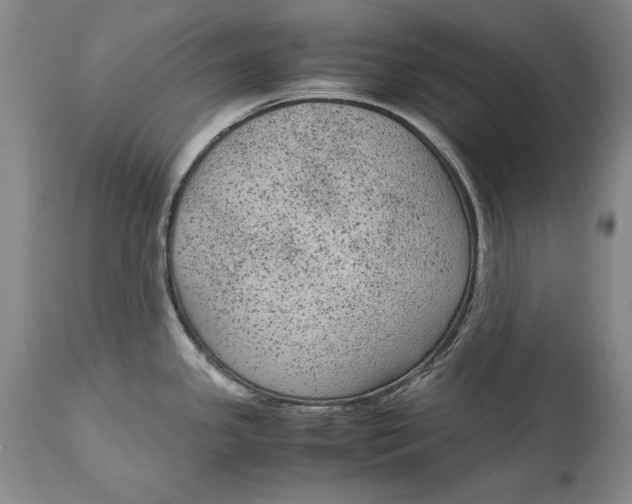 X0000113141341200909251255