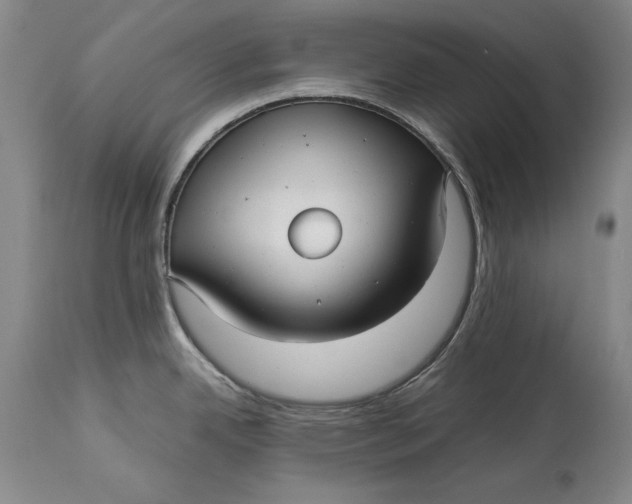 X0000113141342200909251255