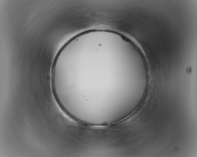 X0000113141343200909251255