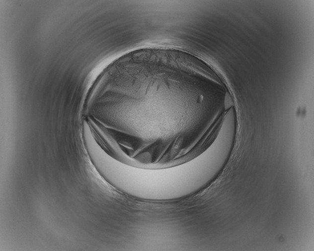 X0000113141344200909251255