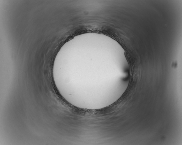 X0000113141345200909251254