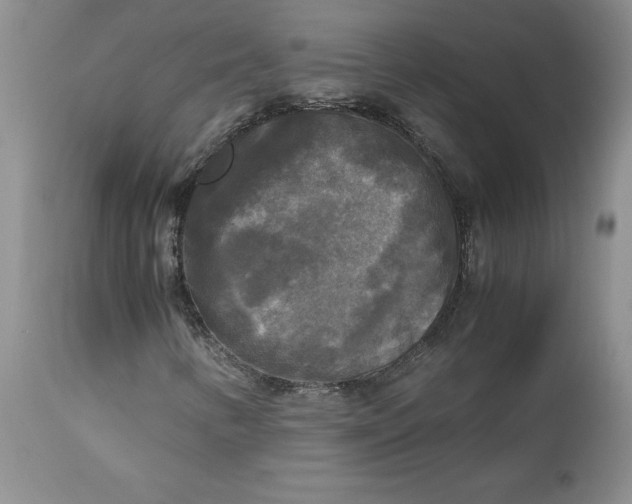 X0000113141346200909251254