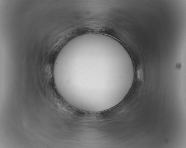 X0000113141347200909251254