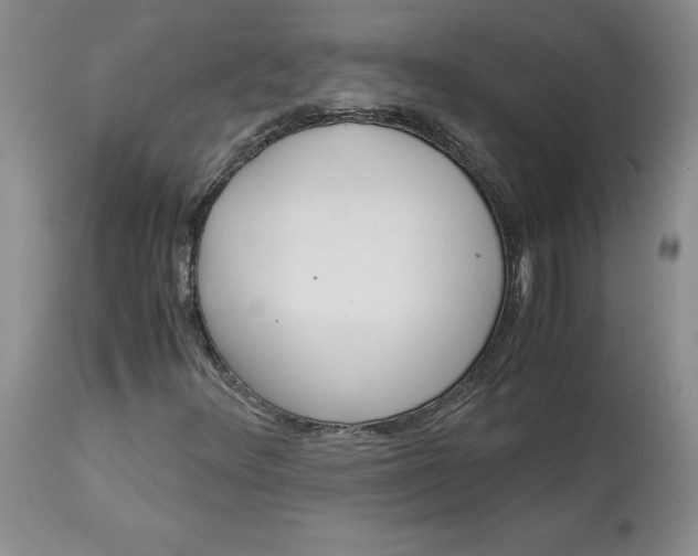 X0000113141348200909251254