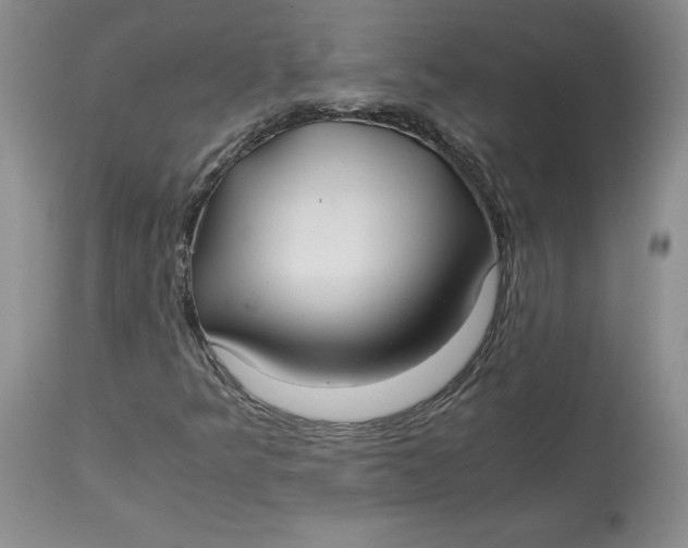 X0000113141349200909251254