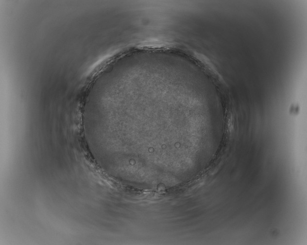 X0000113141350200909251254