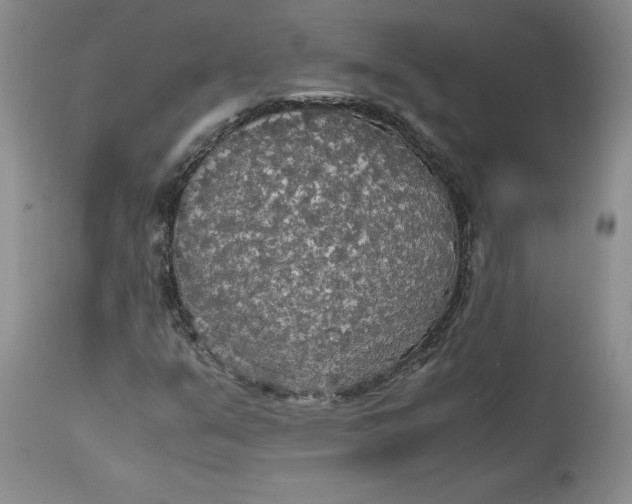 X0000113141351200909251254