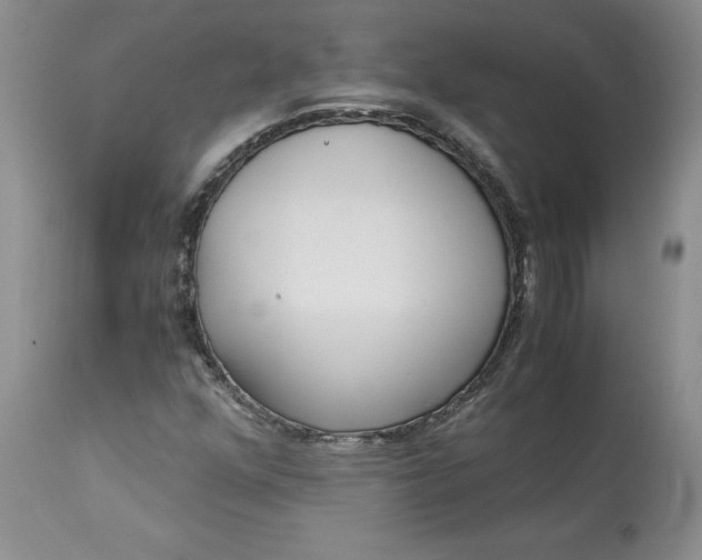 X0000113141352200909251253