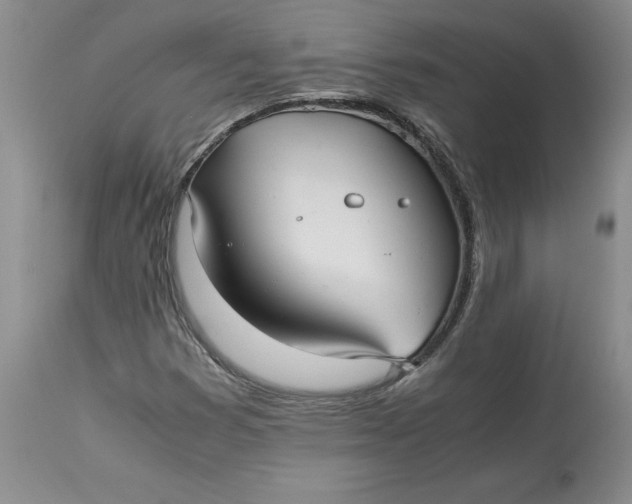 X0000113141353200909251253