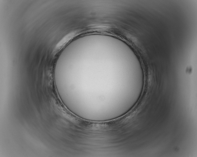 X0000113141354200909251253