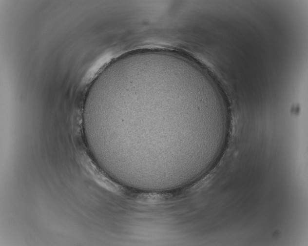 X0000113141355200909251253