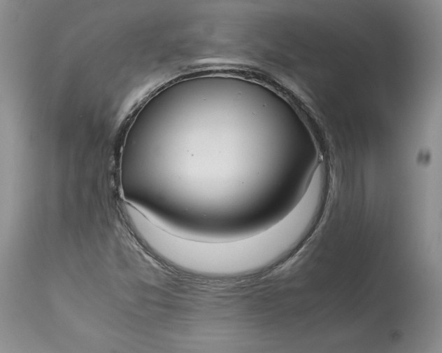 X0000113141357200909251253