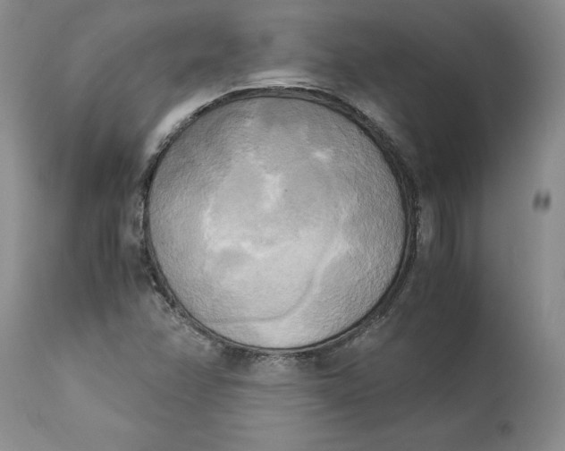 X0000113141358200909251253