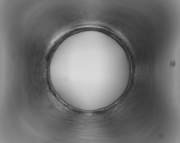 X0000113141360200909251253