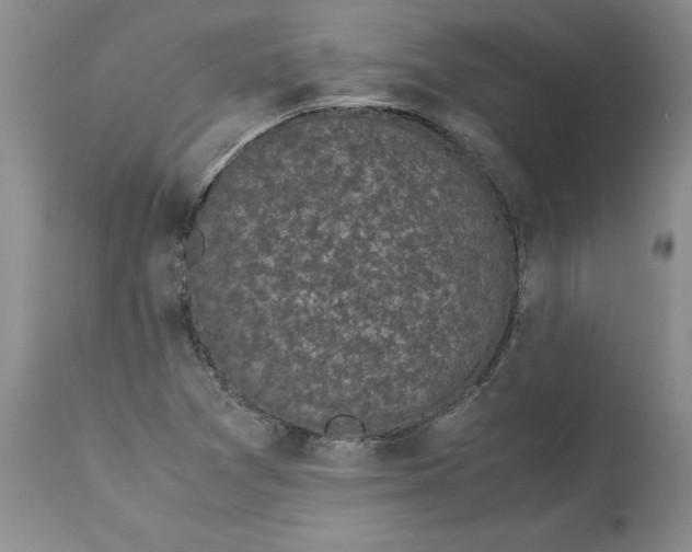 X0000113141361200909251253