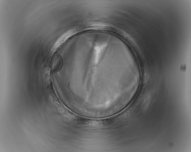 X0000113141362200909251253