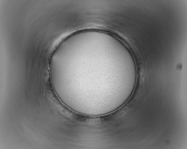 X0000113141363200909251253