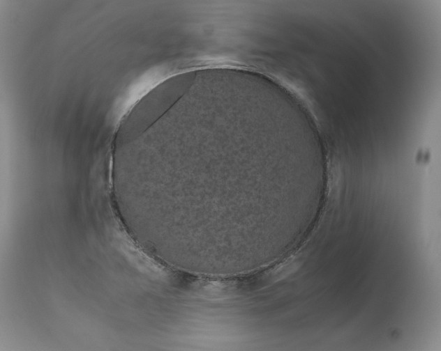 X0000113141365200909251253