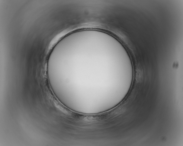 X0000113141366200909251253