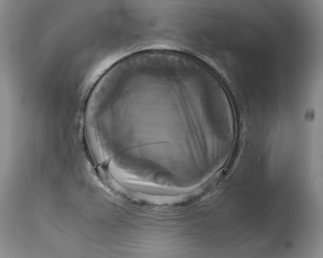 X0000113141367200909251253