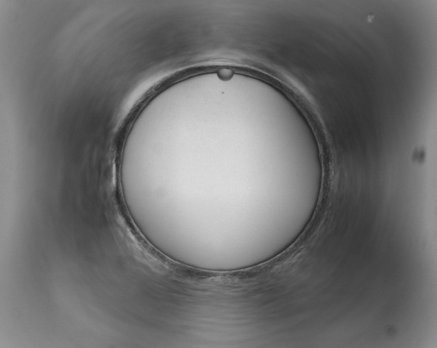 X0000113141368200909251253